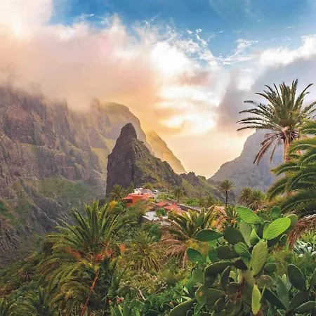 Nuevo Oasis Del Duque *